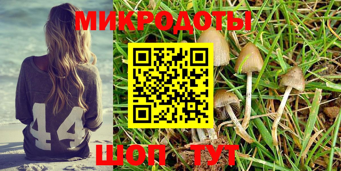 Галлюциногенные грибы Magic Shrooms  Вход с VPN  Октябрьский 